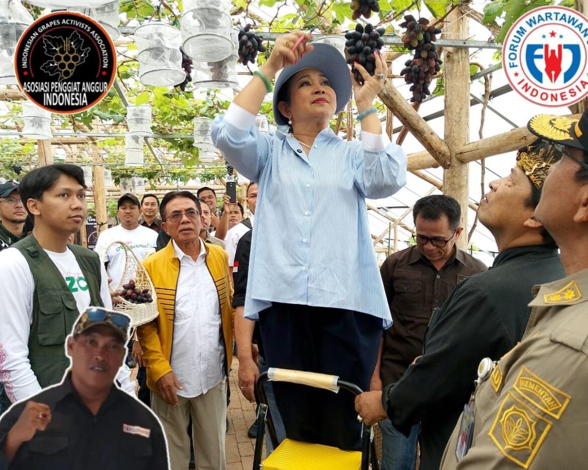 Direktur Buah & Florikultura – Liferdi Lukman Dampingi Kunjungan Dadakan Komisi IV DPR RI ke Kebun Anggur Firizco (ASPAI)