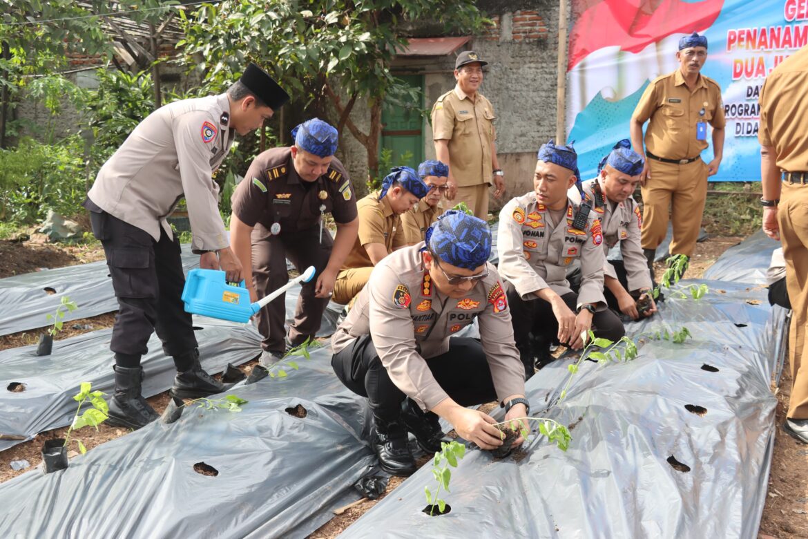 Wujudkan Ketahanan Pangan : Kapolresta Tangerang Bersama Forkopimda Laksanakan Penanaman Cabe
