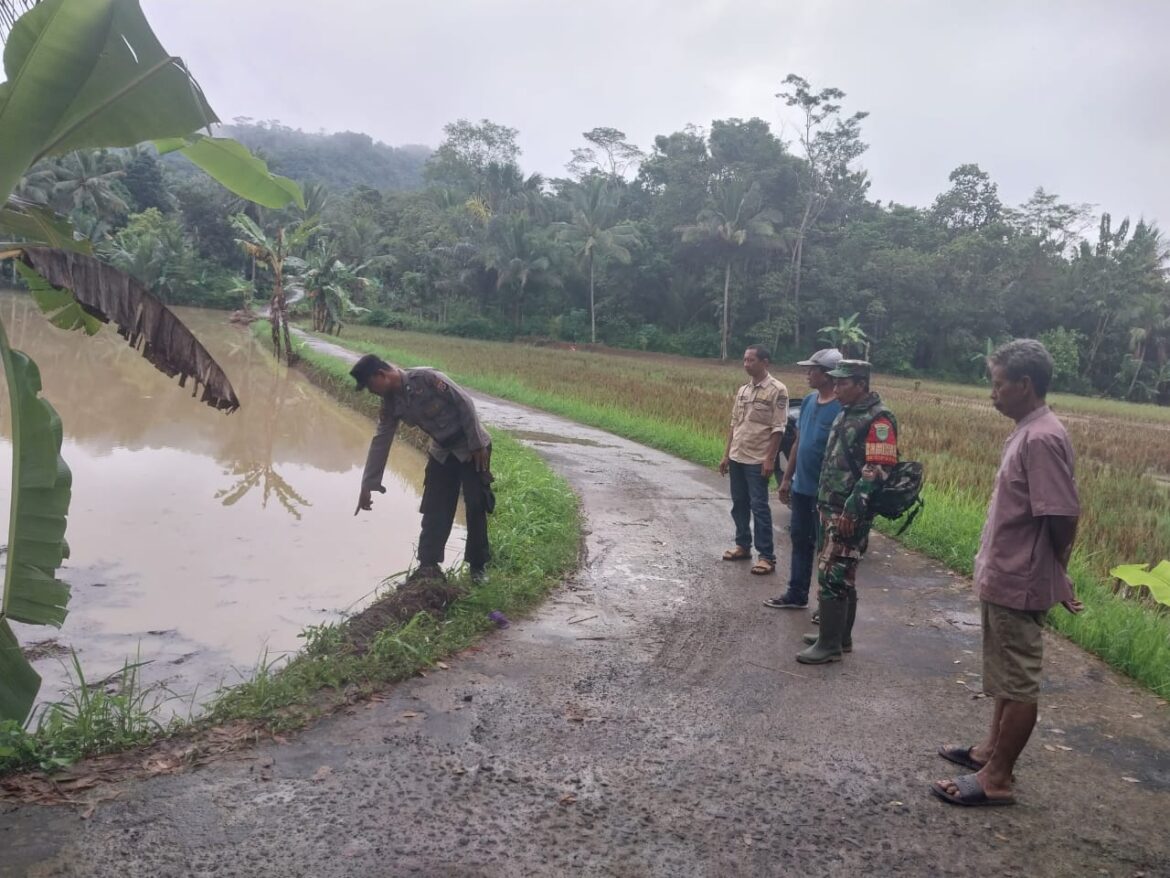 Irigasi Meluap Genangi Belasan Hektar Sawag, Polsek Cimaragas Polres Ciamis Datangi TKP