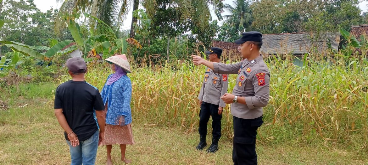 Polsek Banjarsari Polres Ciamis Dorong Ketahanan Pangan Lewat Pemanfaatan Lahan Produktif