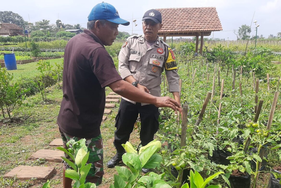 Dukung Asta Cita Presiden RI, Polsek Cikoneng Ajak Warga Buat Pekarangan Rumah Jadi Produktif