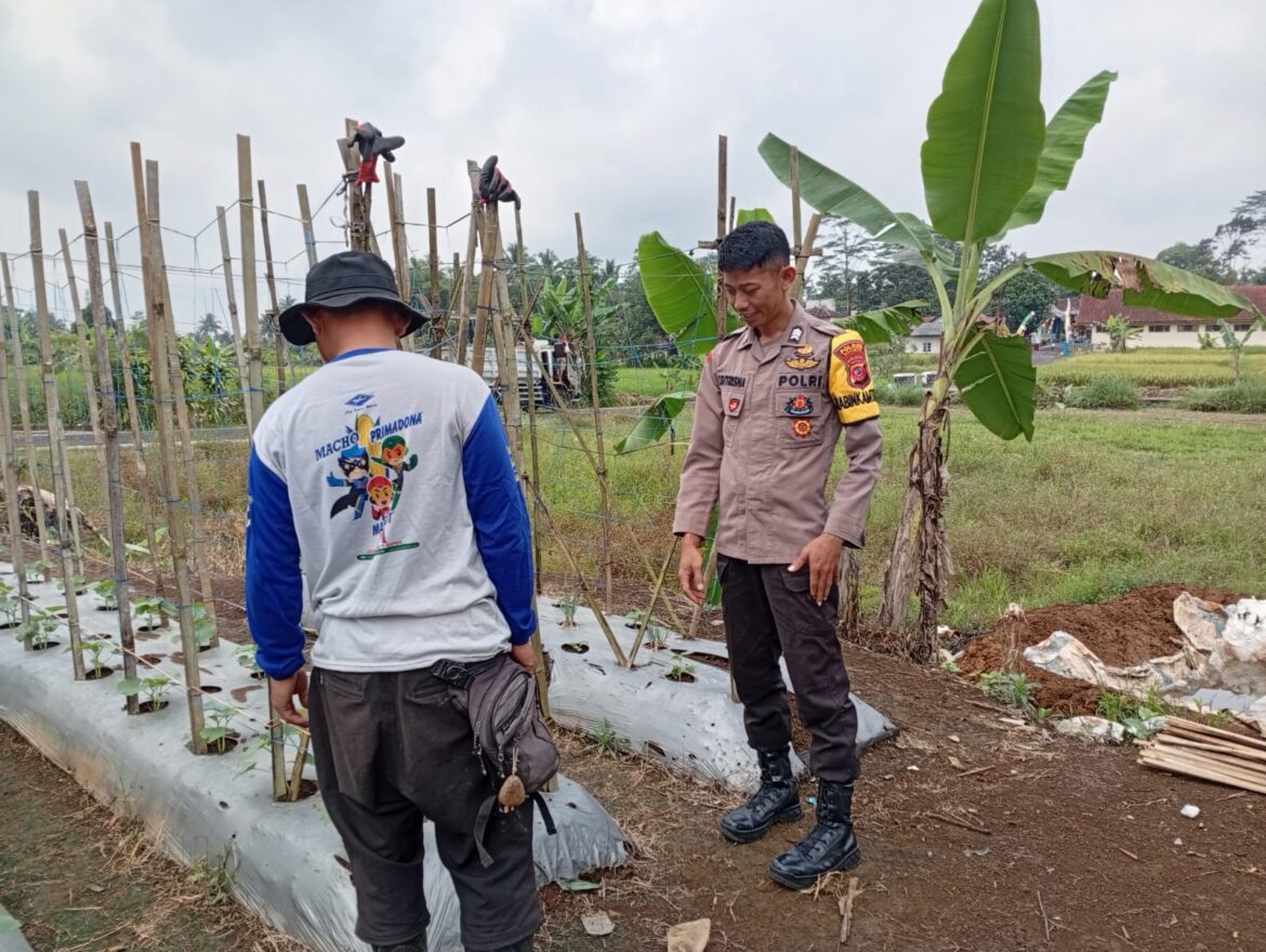 Dukung Asta Cita Presiden RI, Polsek Cikoneng Ajak Warga Cimari Buat Lahan Produktif
