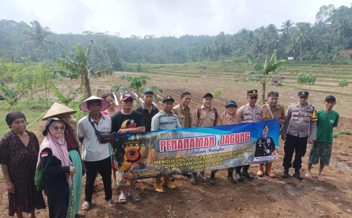 Ketahanan Pangan, Polres Ciamis Ikut Tanam Jagung Bareng Poktan di LBS Poktan Cadas Jaya