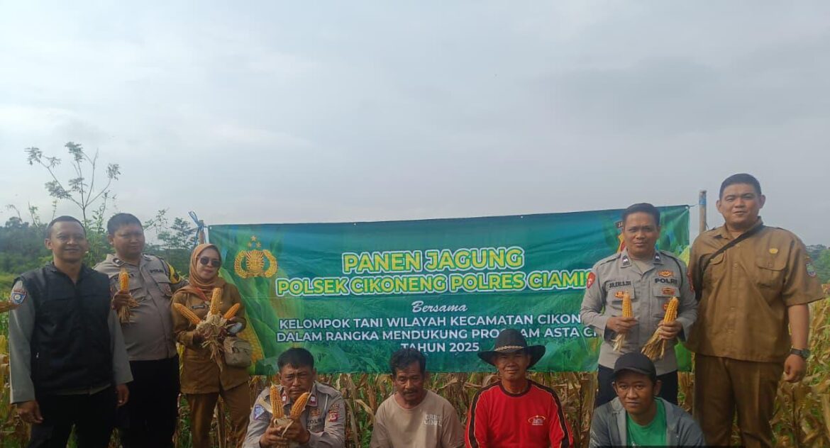 Polres Ciamis Dukung Ketahanan Pangan Lewat Panen Jagung di Sindangkasih