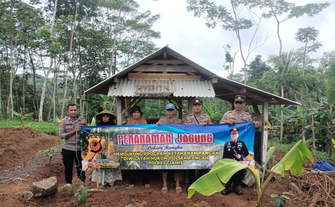 Polres Ciamis Dukung Ketahanan Pangan, Tanam Jagung di Lahan Non LBS Tambaksari