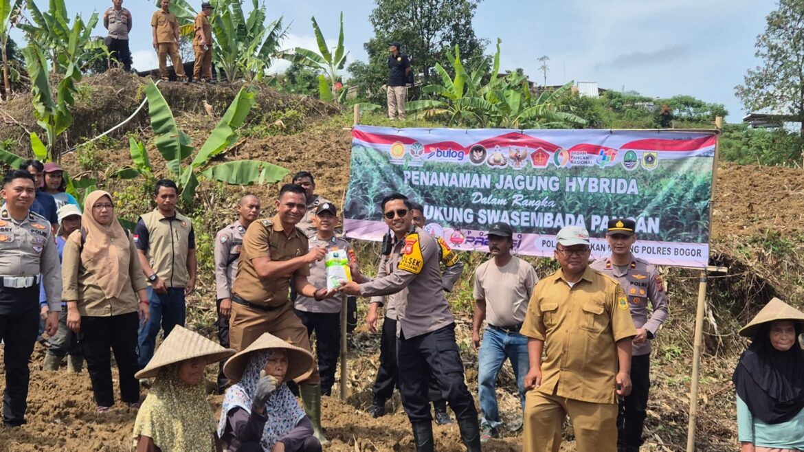Polsek Cikupa Panen Jagung Hibrida Kuartal III, Dukung Program Ketahanan Pangan Nasional