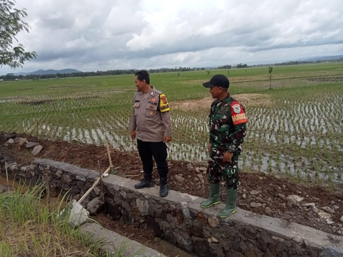 Polsek Lakbok Lakukan Monitoring Pembangunan Irigasi Tersier, Wujud Dukungan Polri terhadap Ketahanan Pangan dan Kesejahteraan Petani