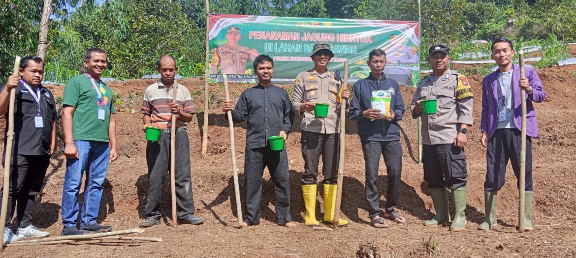 Di Lahan Satu Hektar, Pemdes Parakan Muncang Dan Polri Tanam Jagung