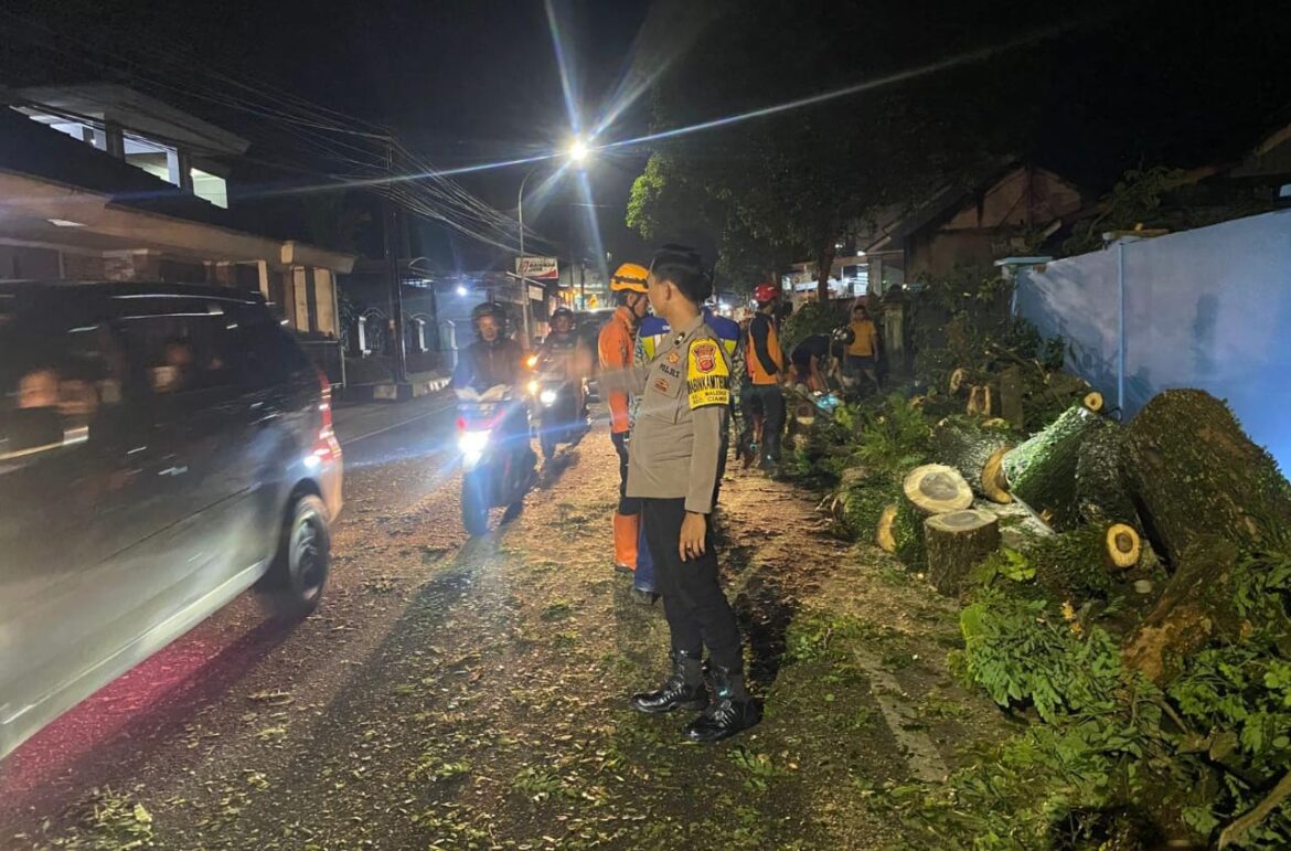 Polsek Ciamis Gerak Cepat Tangani Pohon Tumbang di Jalan R.E. Martadinata, Pastikan Arus Lalu Lintas Kembali Lancar