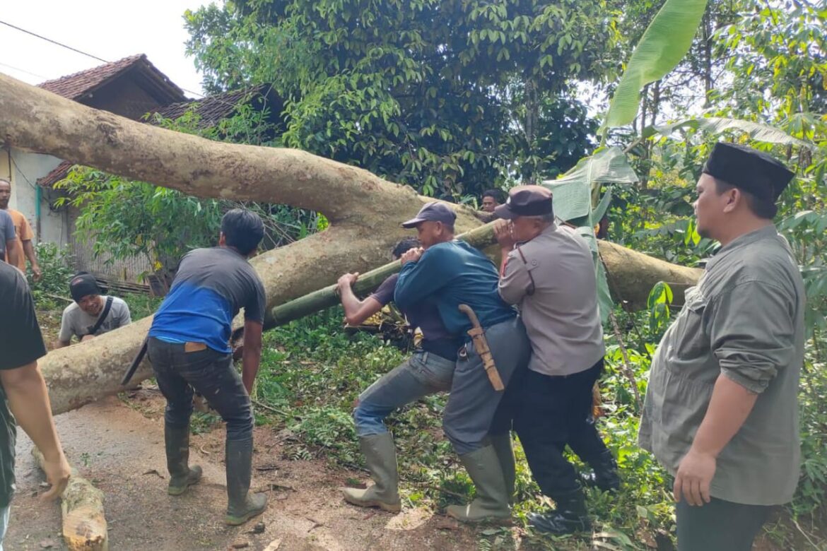 Polri Siaga Bencana, Polsek Kawali Polres Ciamis Bantu Evakuasi Pohon Tumbang ke Rumah Warga