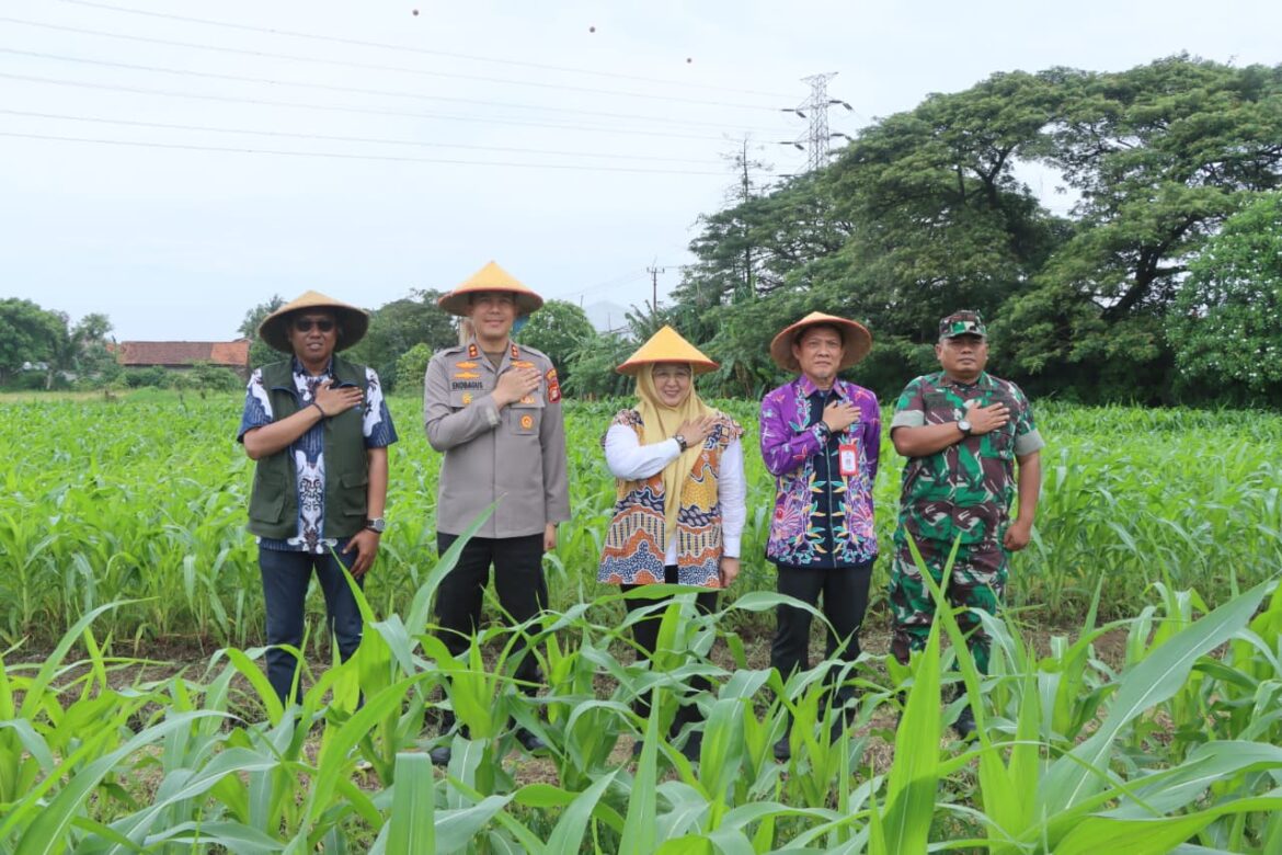 Polres Metro Tangerang Kota Dukung Swasembada Pangan Lewat Panen Raya Jagung Serentak Polri 2026