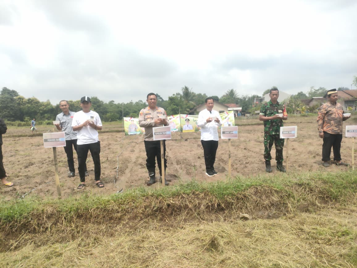 Polsek Tigaraksa Laksanakan Program Ketahanan Pangan Penanaman Jagung Hibrida 1 Desa 2 Hektar di Desa Daru
