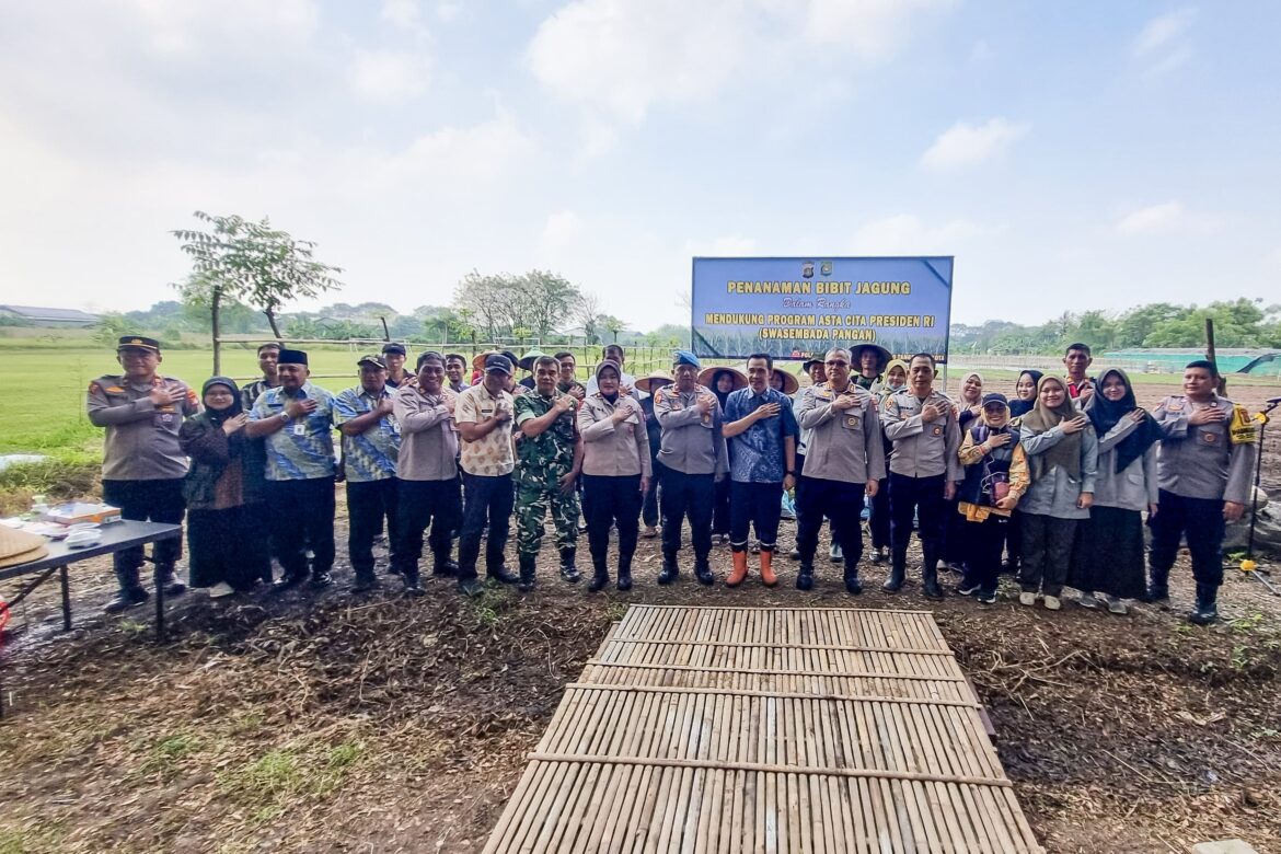 Polres Metro Tangerang Kota Dukung Swasembada Pangan, Lahan Tidur Disulap Jadi Kebun Jagung Pipil