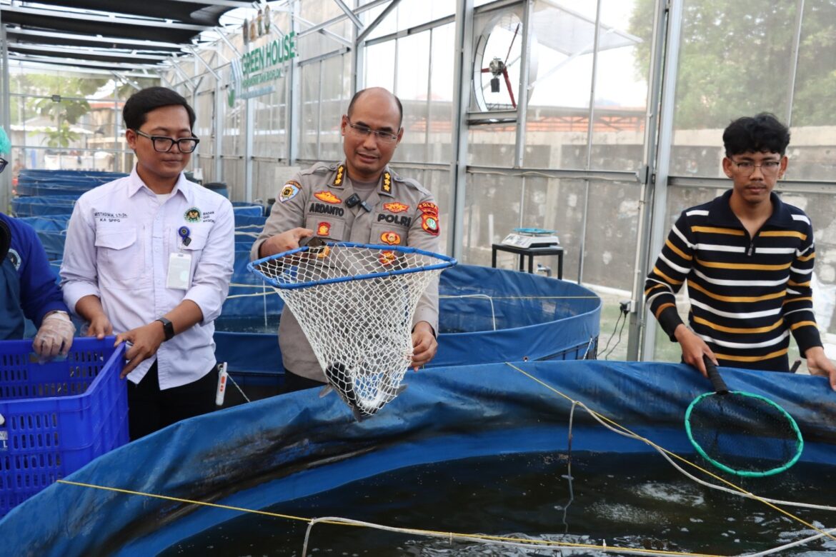 Polda Metro Jaya Bersama Polres Jakbar Panen Sawi Hidroponik dan Ikan untuk Ribuan Penerima Manfaat SPBG Palmerah