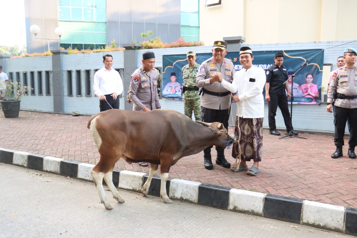 Iduladha Berbagi, Polresta Tangerang Salurkan Puluhan Hewan Kurban ke Pesantren hingga Komunitas Ojol