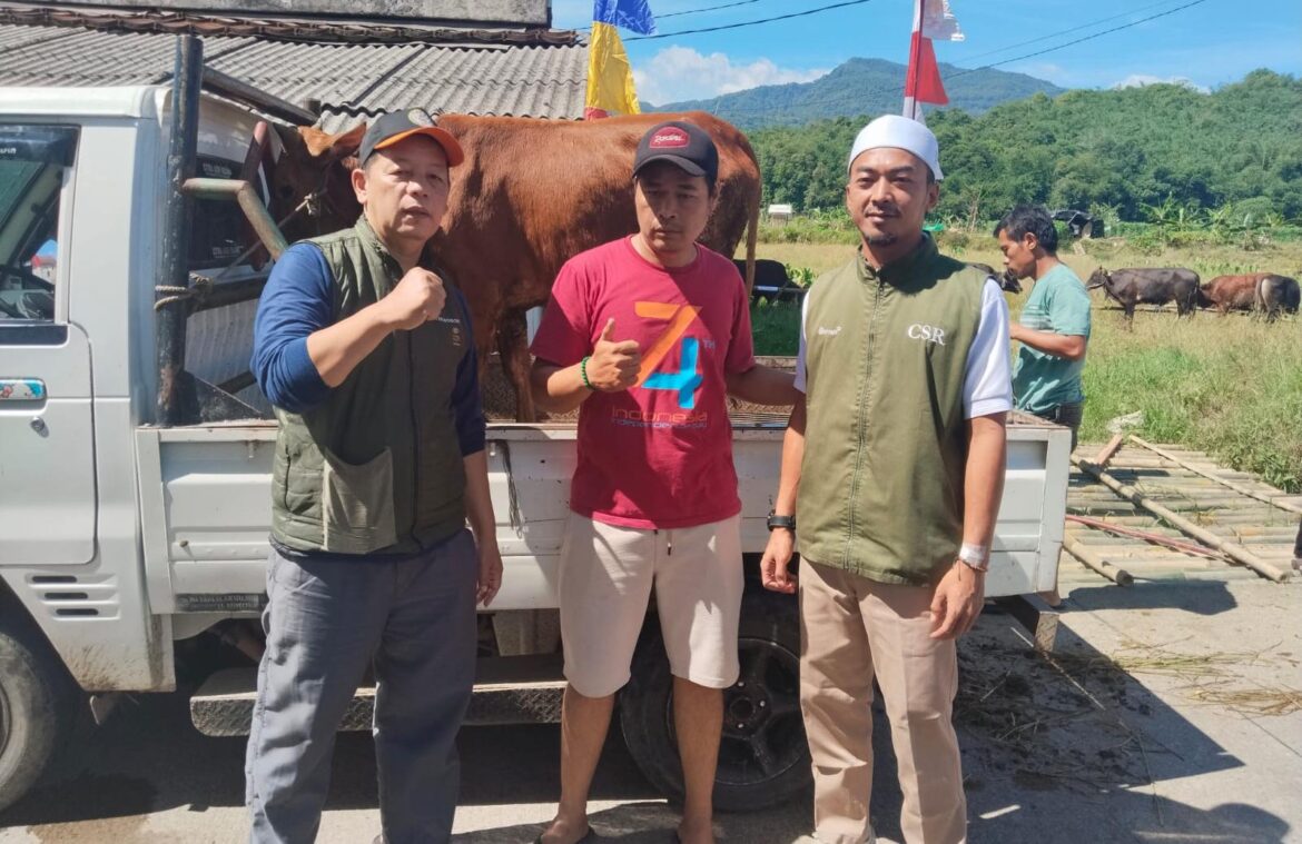 Pererat Hubungan dengan Masyarakat, ANTAM Pongkor Distribusikan Puluhan Hewan Kurban