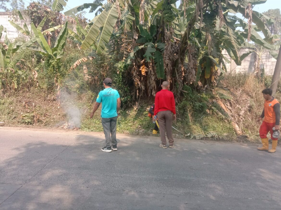 Pemerintah Desa Lulut Gelar Jumat Bersih, Wujudkan Lingkungan Bersih dan Sehat